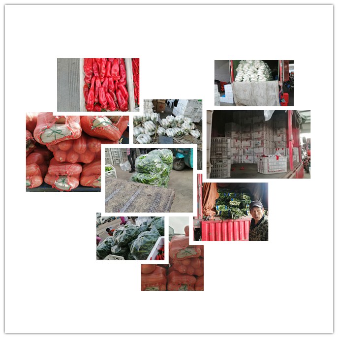 万利官网-相信品牌力量