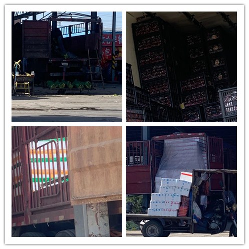 万利官网-相信品牌力量