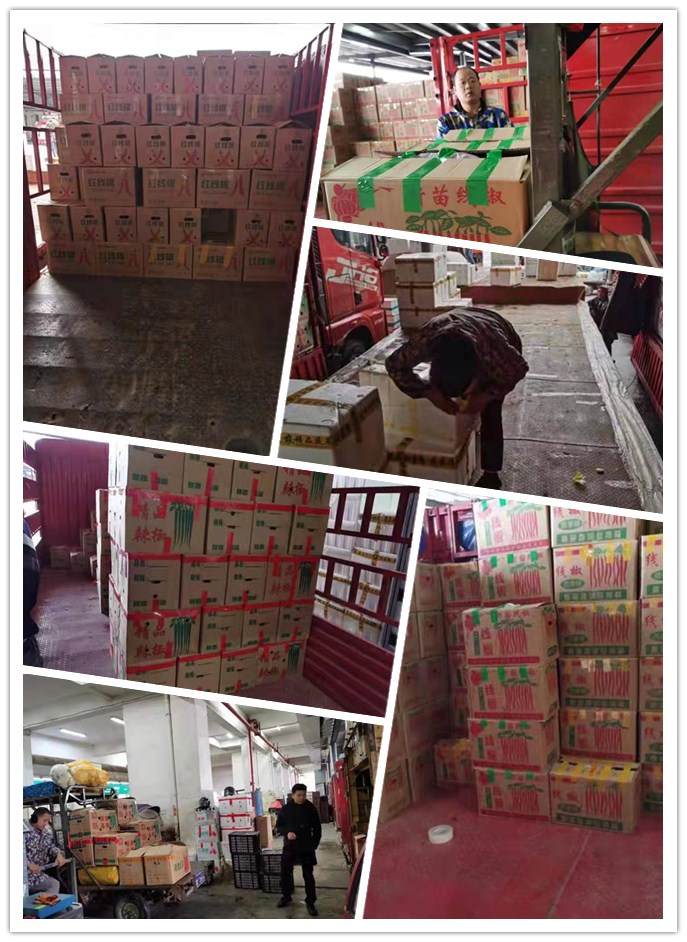 万利官网-相信品牌力量