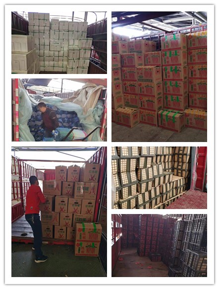 万利官网-相信品牌力量