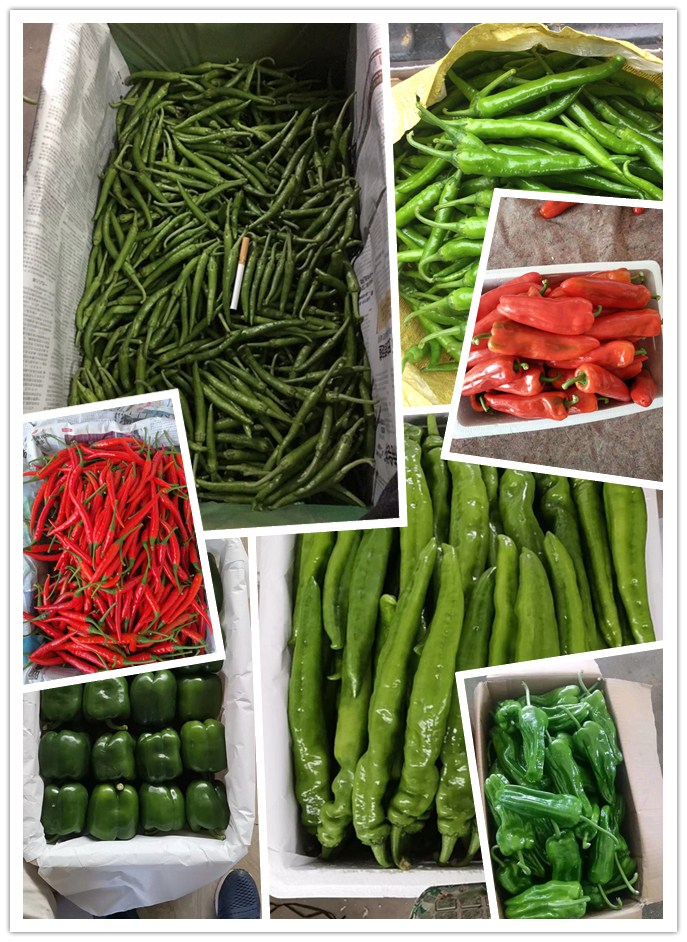 万利官网-相信品牌力量