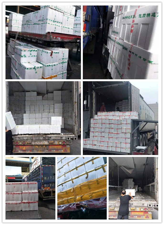 万利官网-相信品牌力量