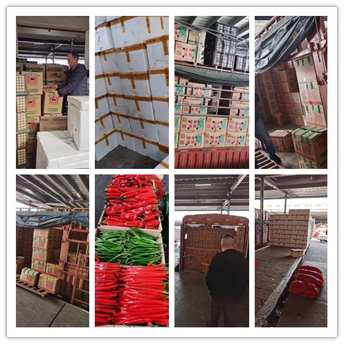 万利官网-相信品牌力量