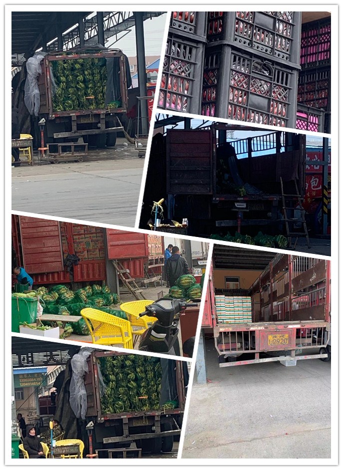 万利官网-相信品牌力量