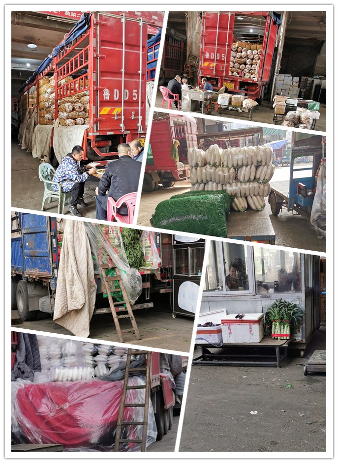 万利官网-相信品牌力量