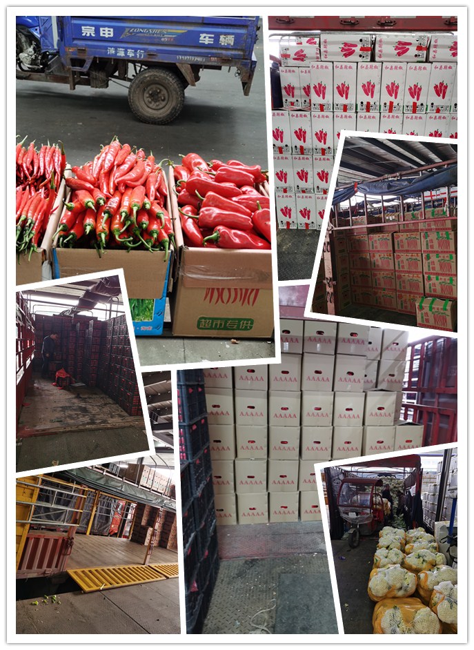 万利官网-相信品牌力量