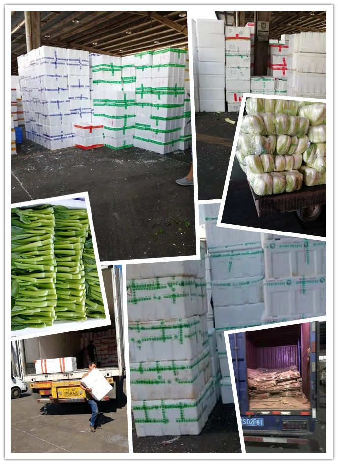 万利官网-相信品牌力量