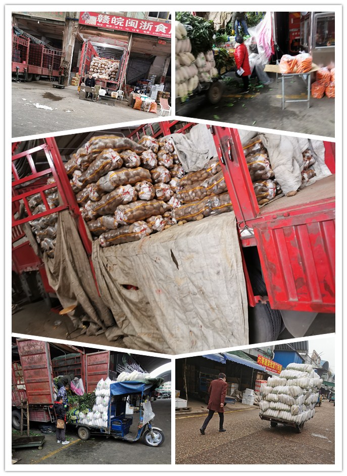 万利官网-相信品牌力量