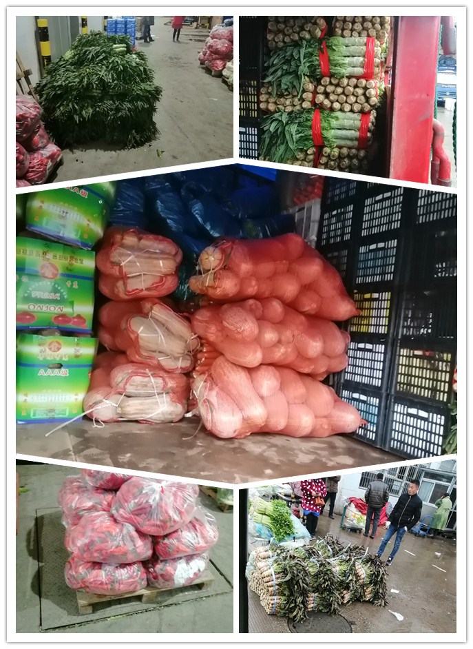 万利官网-相信品牌力量