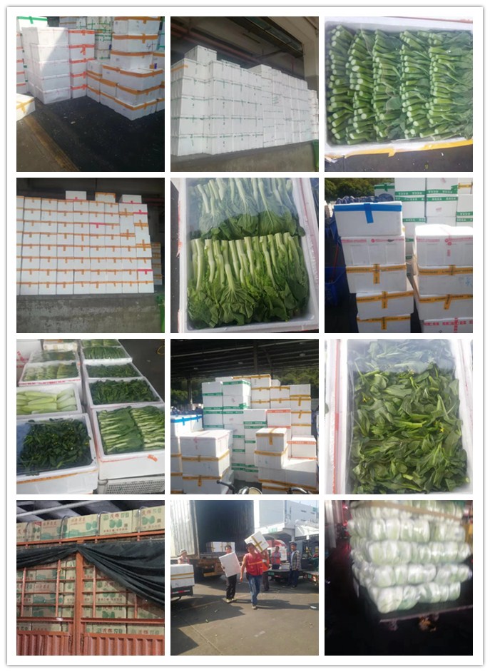 万利官网-相信品牌力量