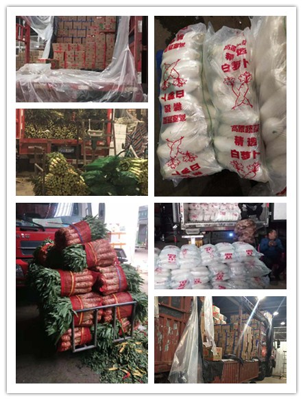 万利官网-相信品牌力量