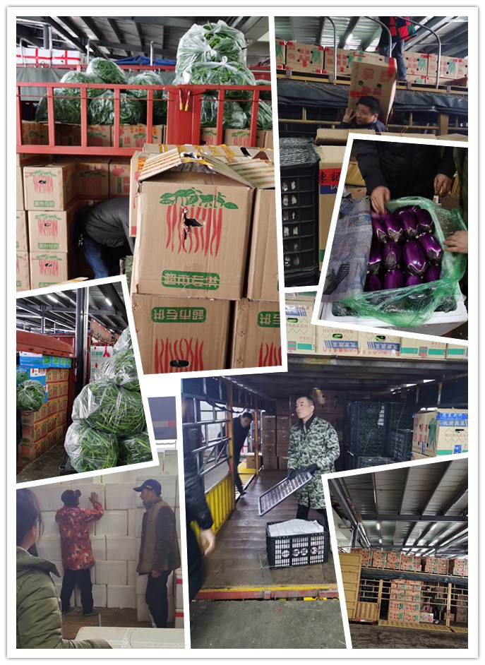 万利官网-相信品牌力量