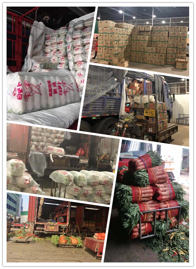 万利官网-相信品牌力量