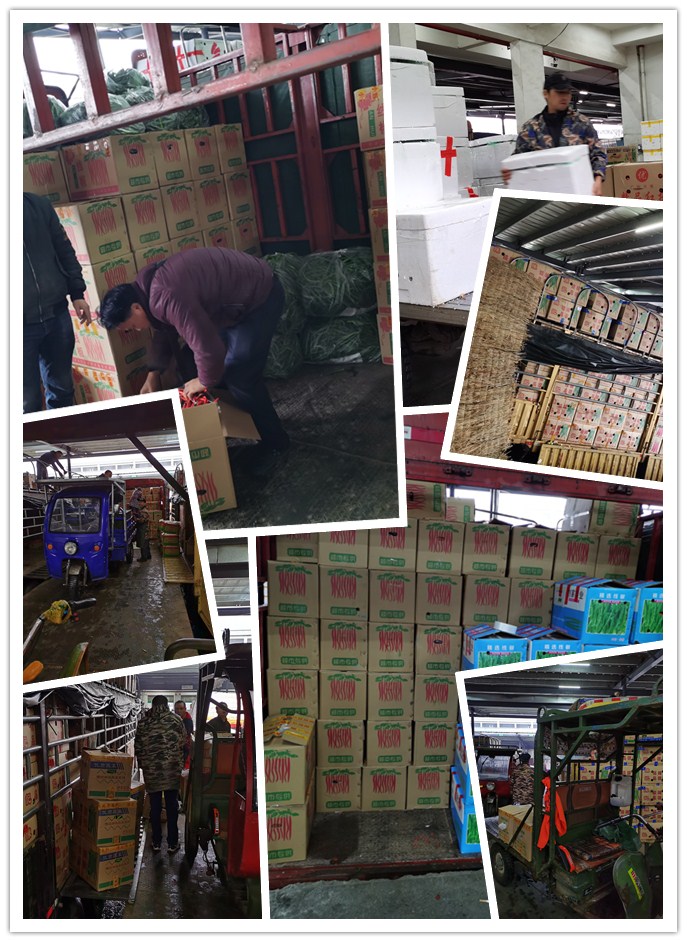 万利官网-相信品牌力量