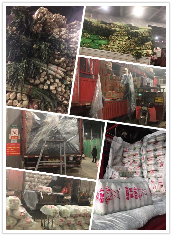 万利官网-相信品牌力量