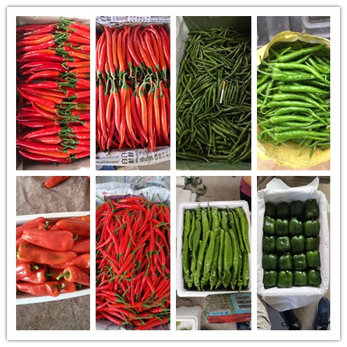 万利官网-相信品牌力量