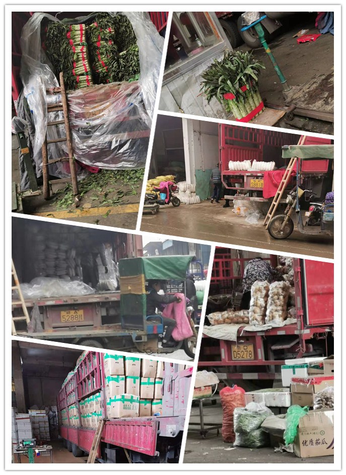 万利官网-相信品牌力量