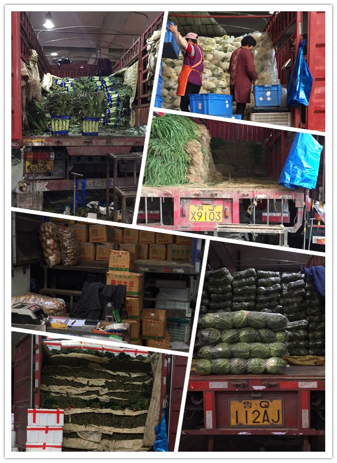 万利官网-相信品牌力量