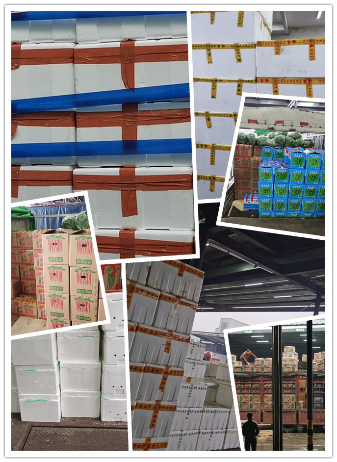 万利官网-相信品牌力量