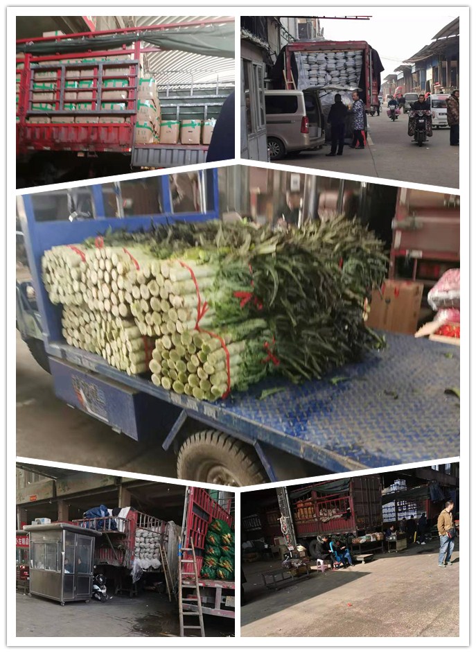 万利官网-相信品牌力量