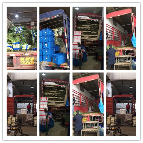 万利官网-相信品牌力量