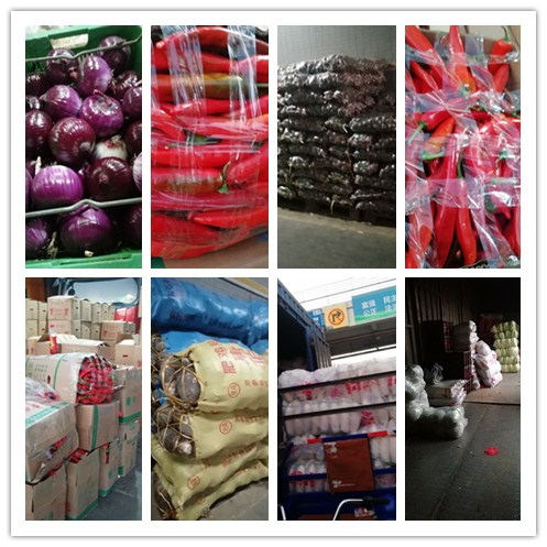 万利官网-相信品牌力量