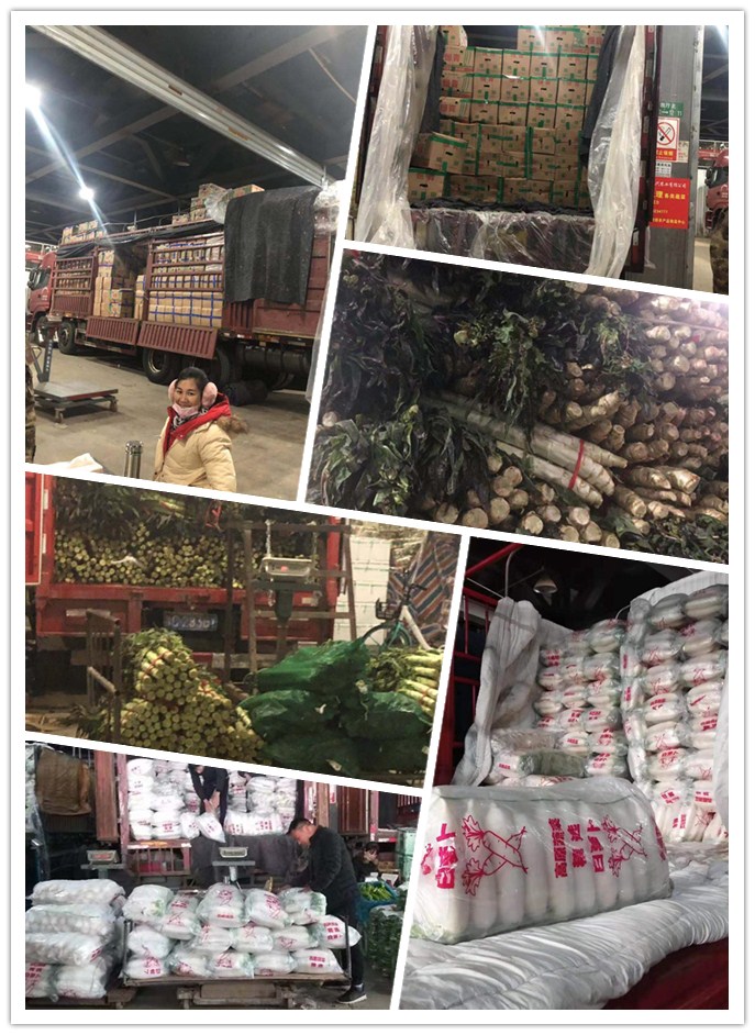 万利官网-相信品牌力量