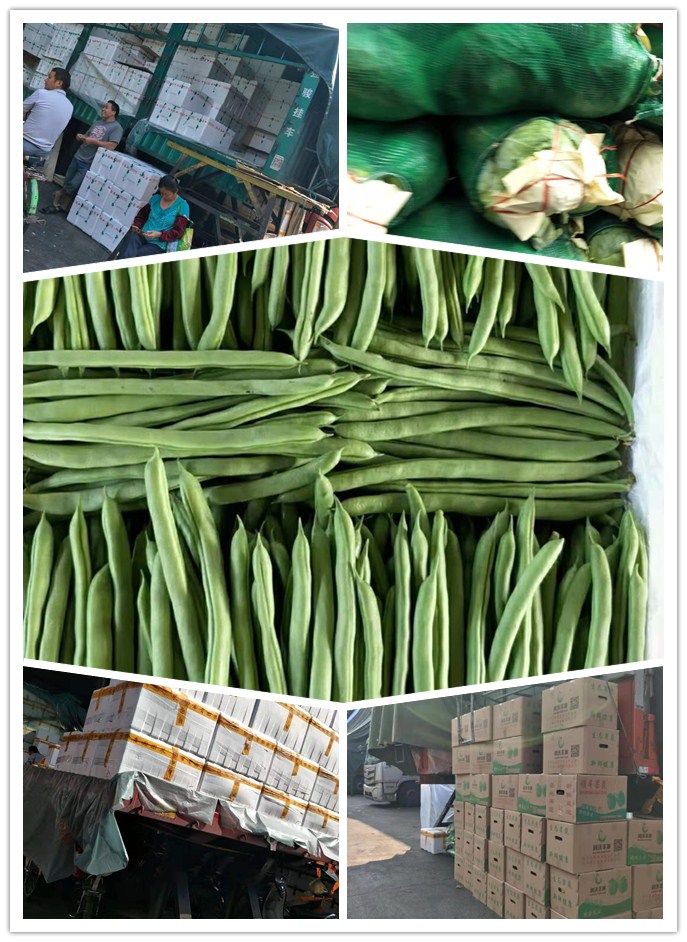 万利官网-相信品牌力量