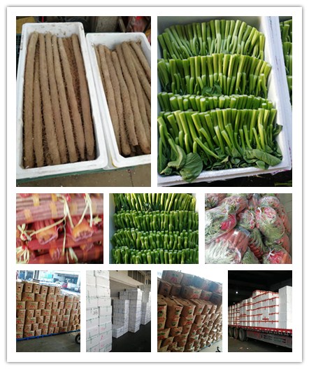 万利官网-相信品牌力量