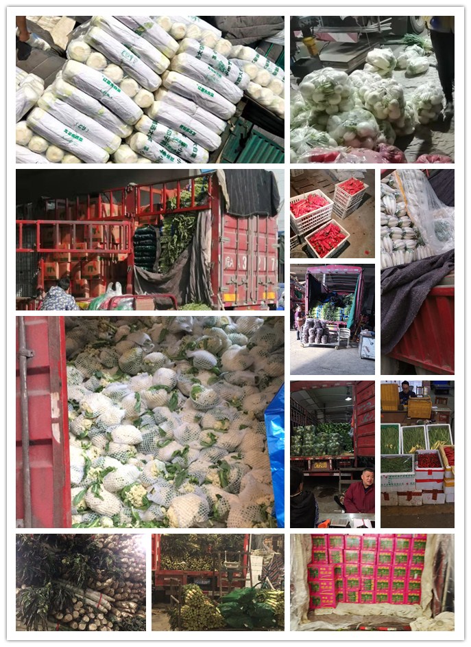 万利官网-相信品牌力量