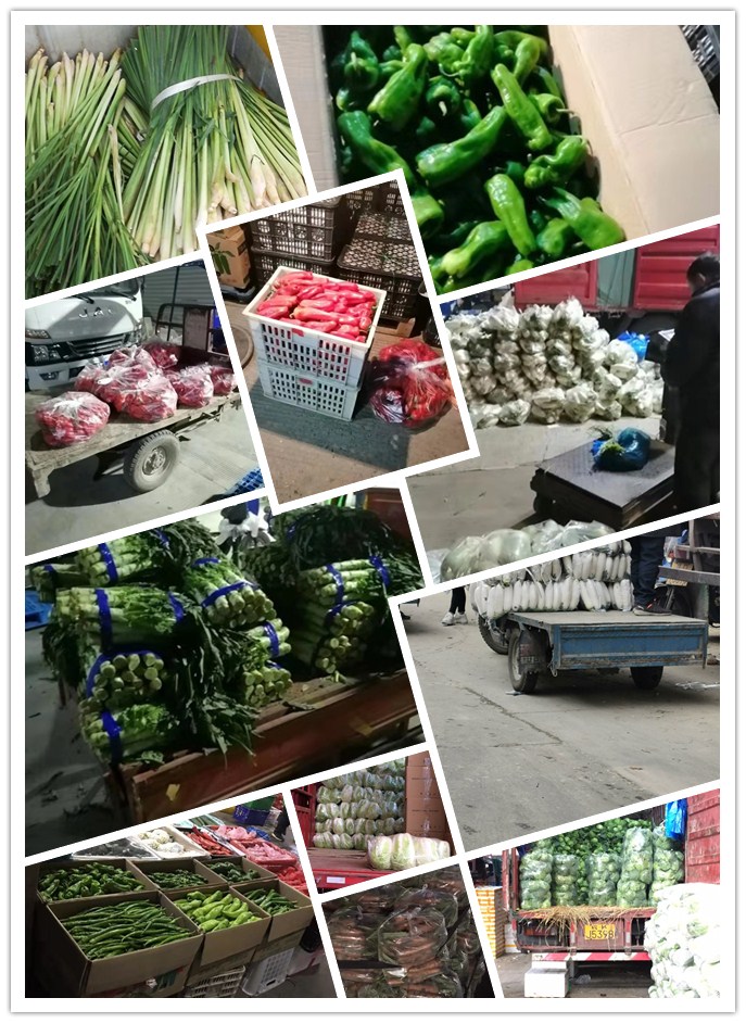 万利官网-相信品牌力量