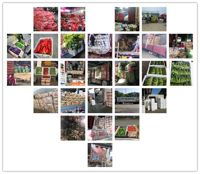 万利官网-相信品牌力量