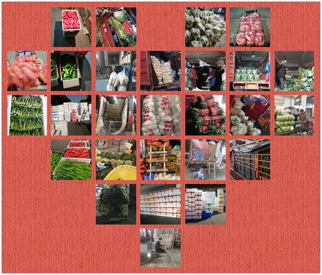 万利官网-相信品牌力量