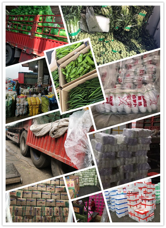 万利官网-相信品牌力量