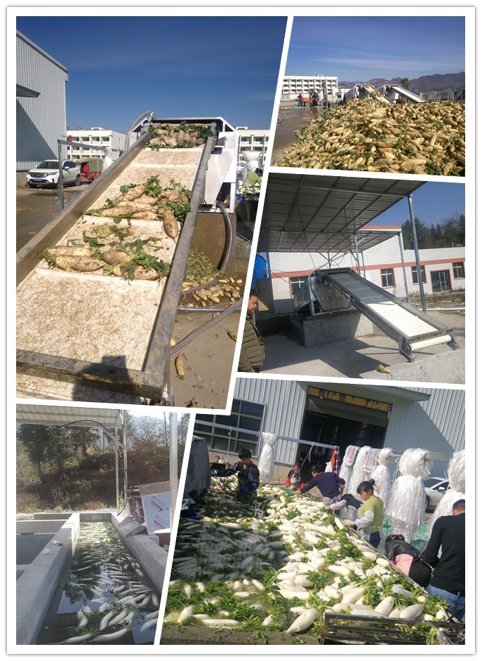 万利官网-相信品牌力量