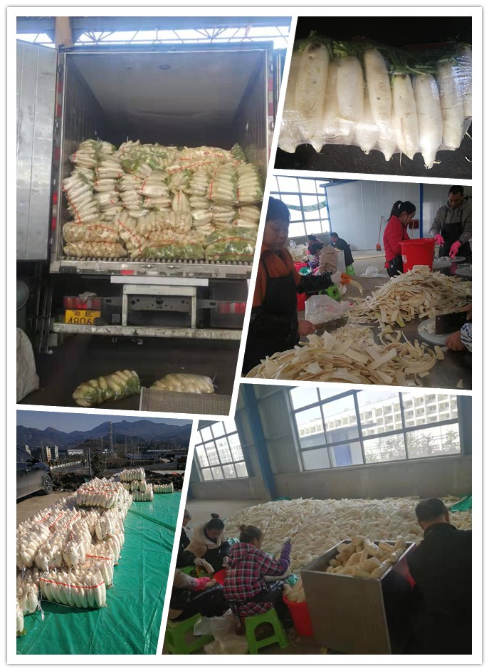 万利官网-相信品牌力量