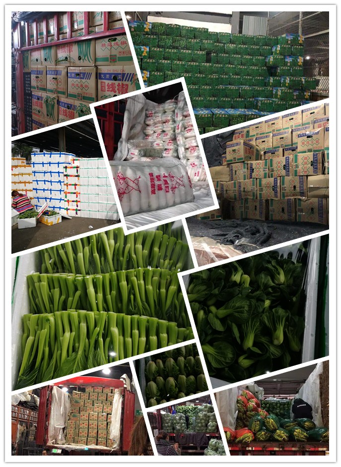 万利官网-相信品牌力量