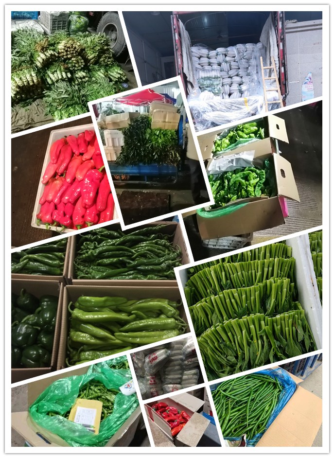 万利官网-相信品牌力量