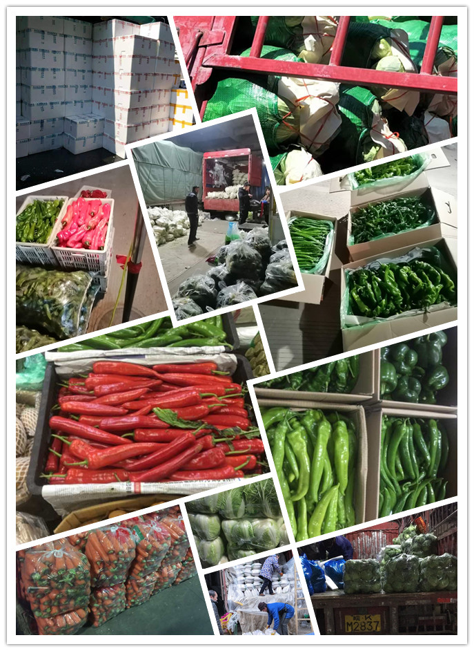 万利官网-相信品牌力量