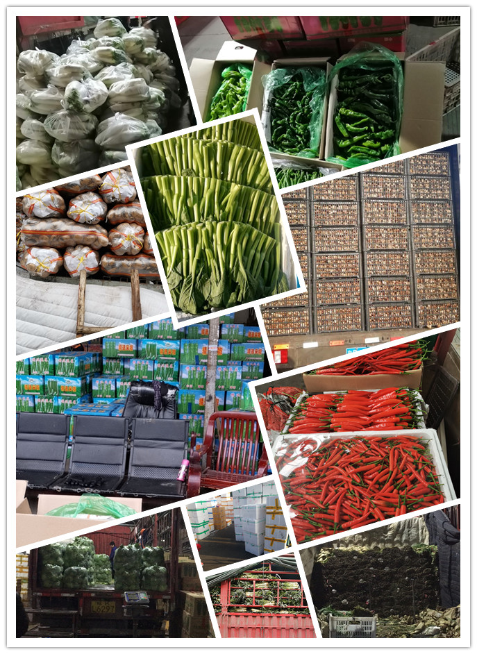 万利官网-相信品牌力量