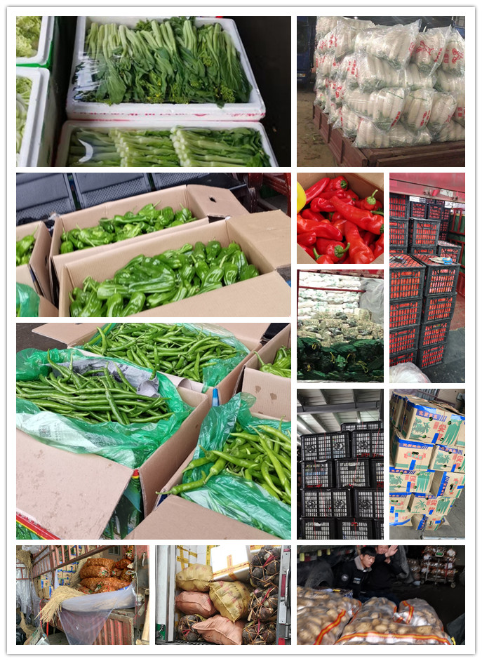 万利官网-相信品牌力量