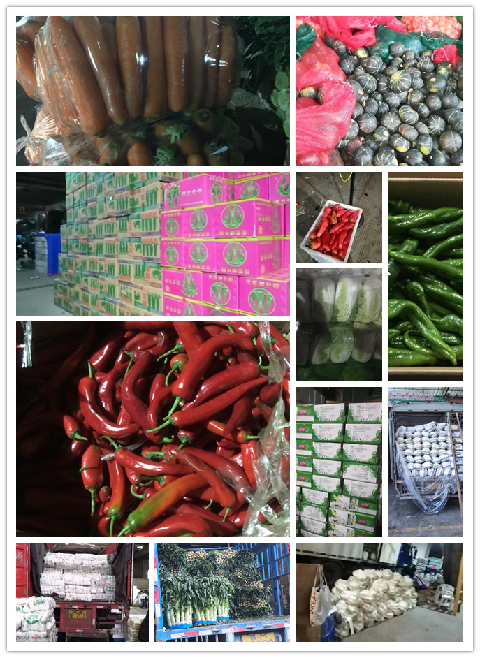 万利官网-相信品牌力量