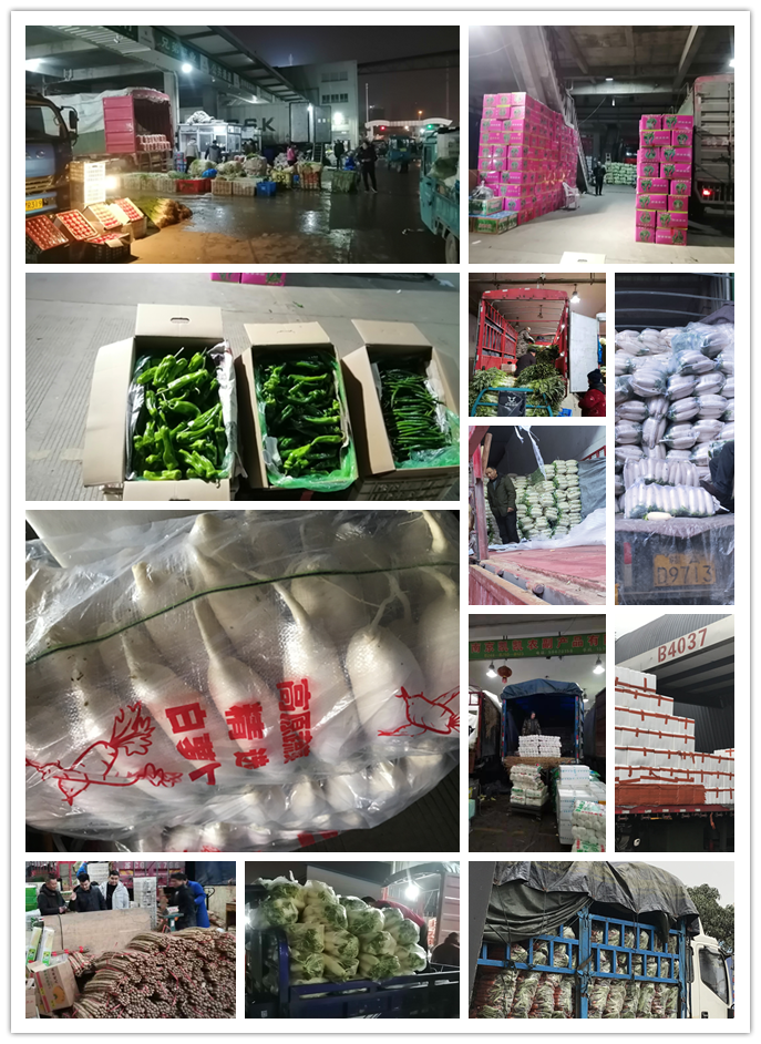 万利官网-相信品牌力量