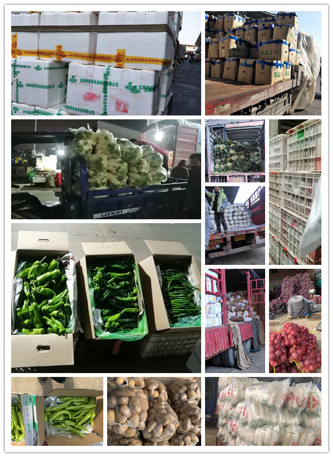 万利官网-相信品牌力量