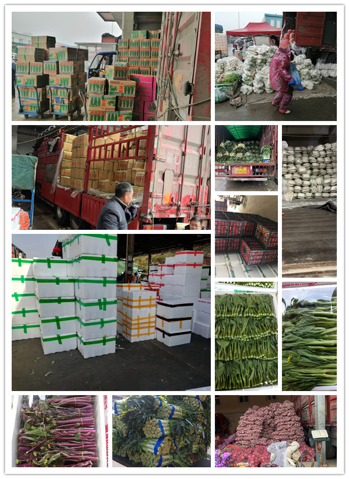 万利官网-相信品牌力量