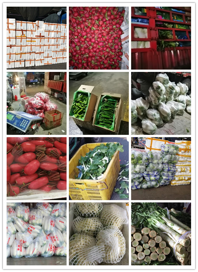 万利官网-相信品牌力量