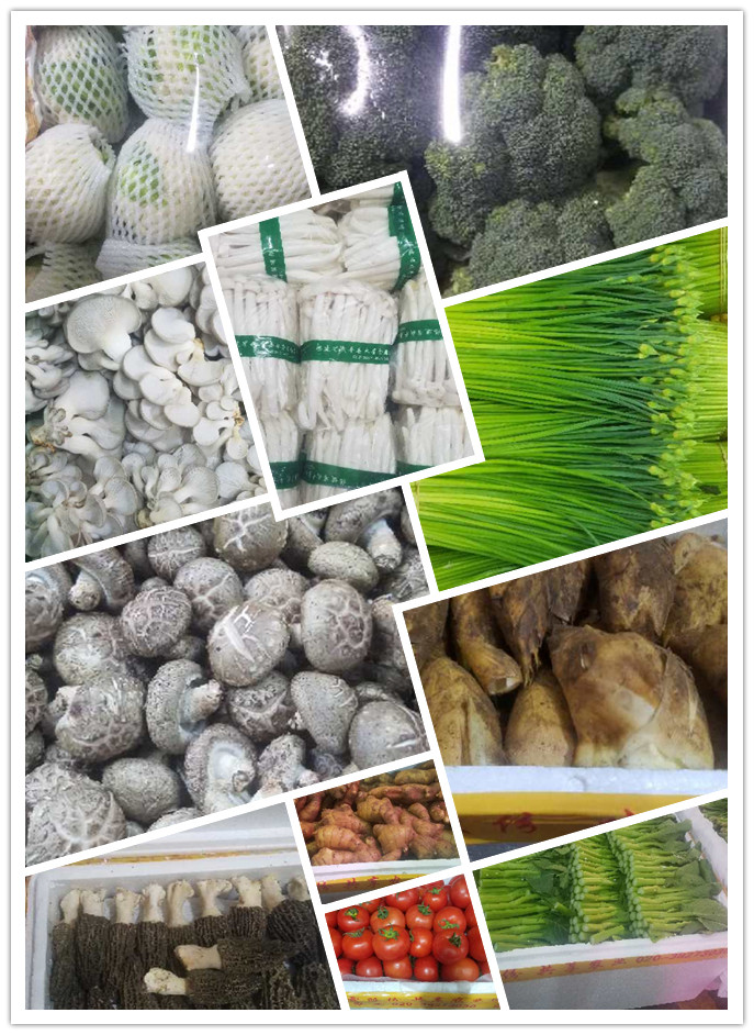 万利官网-相信品牌力量