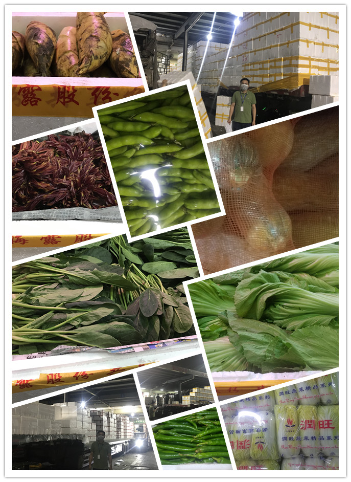 万利官网-相信品牌力量