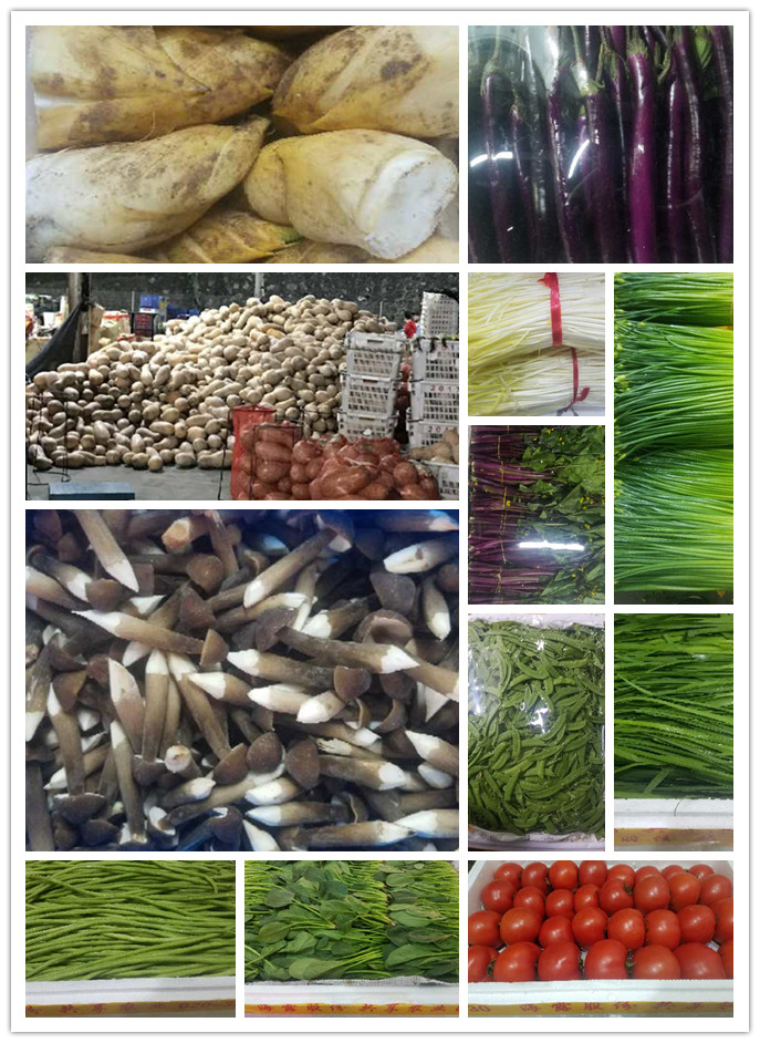 万利官网-相信品牌力量