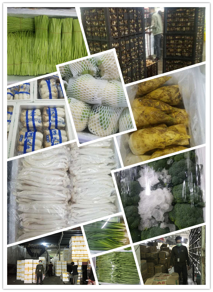 万利官网-相信品牌力量